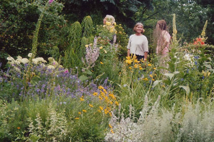 tl_files/garten/gaerten/amsuedhang_gr.jpg