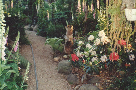 Garten am Wohnhaus