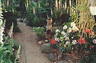 Garten am Wohnhaus