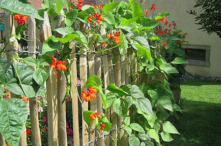 tl_files/garten/gaerten/pennrich/garten_2010-01gr.jpg