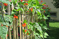 tl_files/garten/gaerten/pennrich/garten_2010-01kl.jpg
