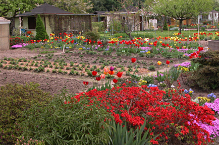 tl_files/garten/gaerten/pillnitz/m_ogdd_pillnitzer_big.jpg