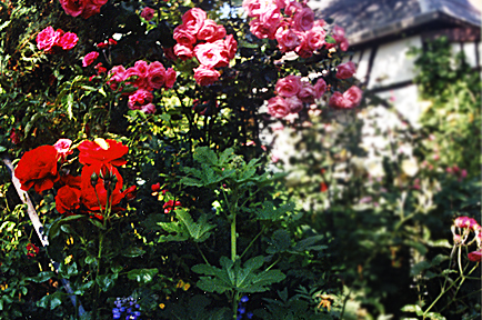 tl_files/garten/gaerten/strehlen/garten2big.jpg