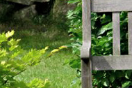 Impressionen 2009