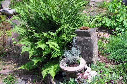 tl_files/garten/gaerten2010/2010x03.jpg